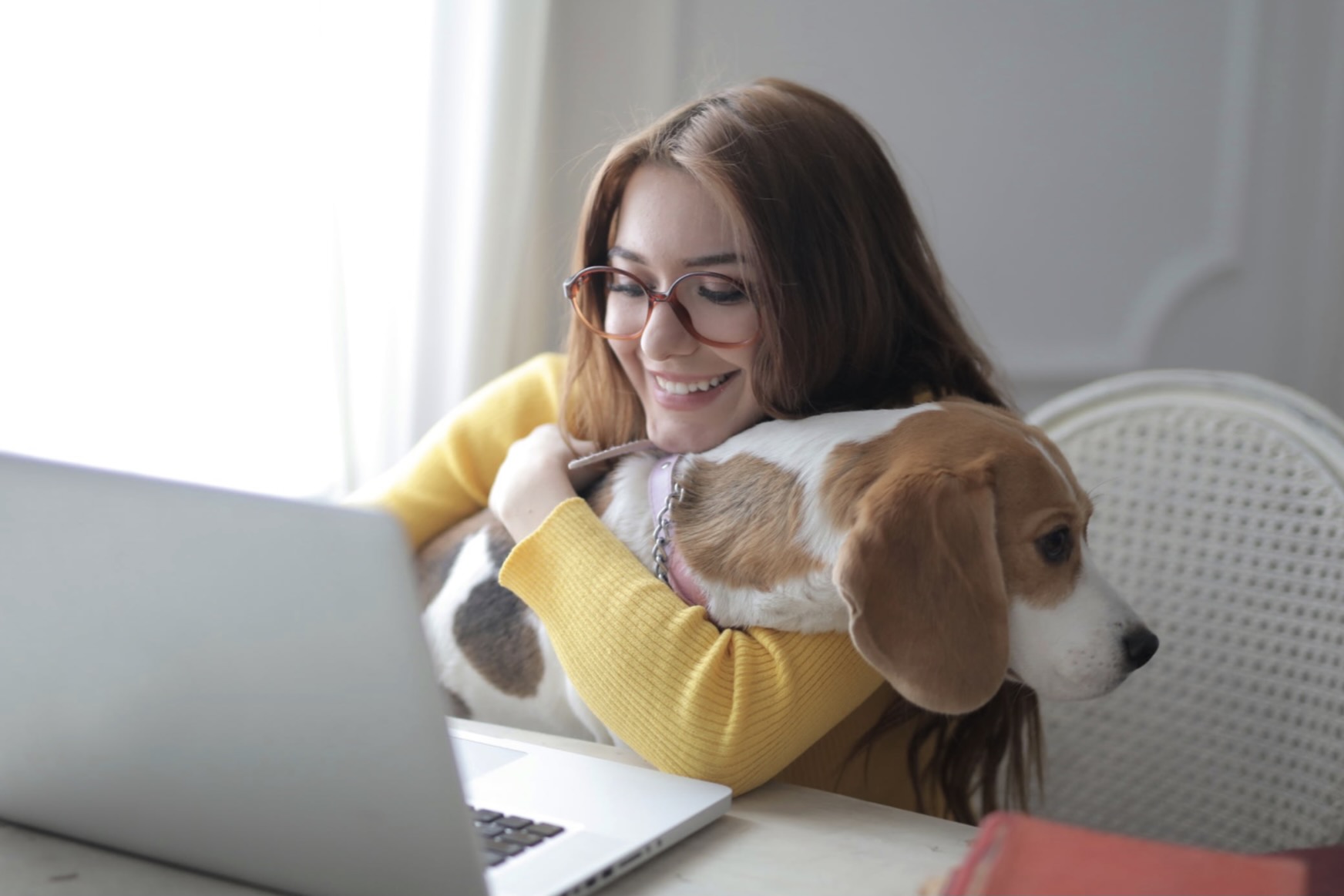 女性　パソコン　犬